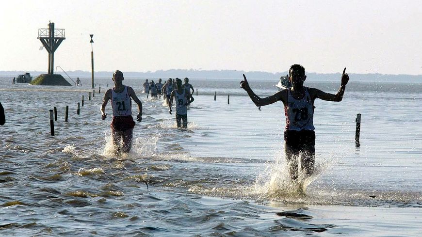 Foulée du Gois 2019 à Noirmoutier, la course contre la mer!