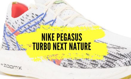 Nike Pegasus Turbo Next Nature, notre avis sur cette paire polyvalente et écologique.