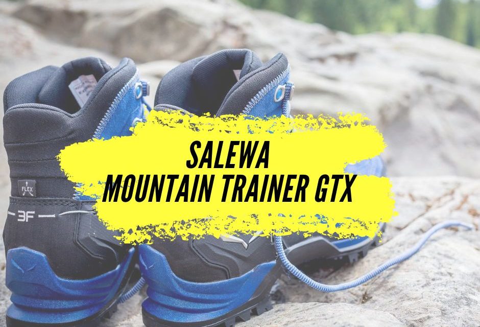 Avis chaussures Salewa Mountain Trainer GTX