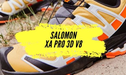 Salomon XA Pro 3D V8, notre avis sur cette paire parfaite pour le trail et le fast hiking
