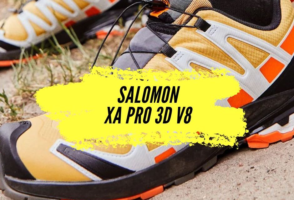 Salomon XA Pro 3D V8, notre avis sur cette paire parfaite pour le trail et le fast hiking