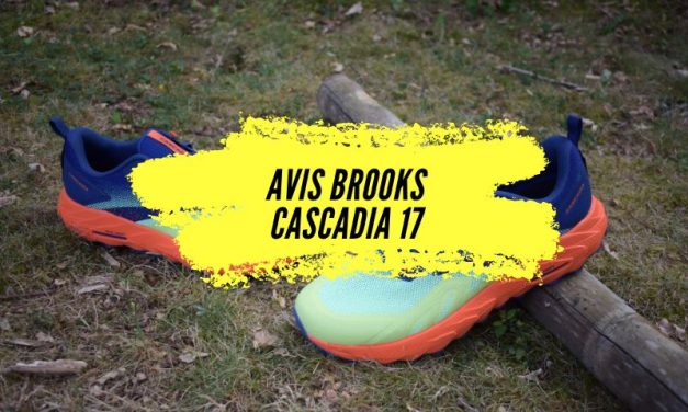 Test Brooks Cascadia 17, notre avis sur cette chaussure de trail pensée pour les longues distances mais pas que!