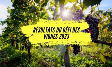 Découvrez les résultats du défi des Vignes 2023.