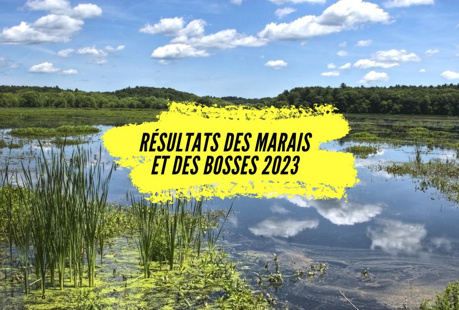 Résultats Des marais et des bosses 2023 de Saint Herblain.