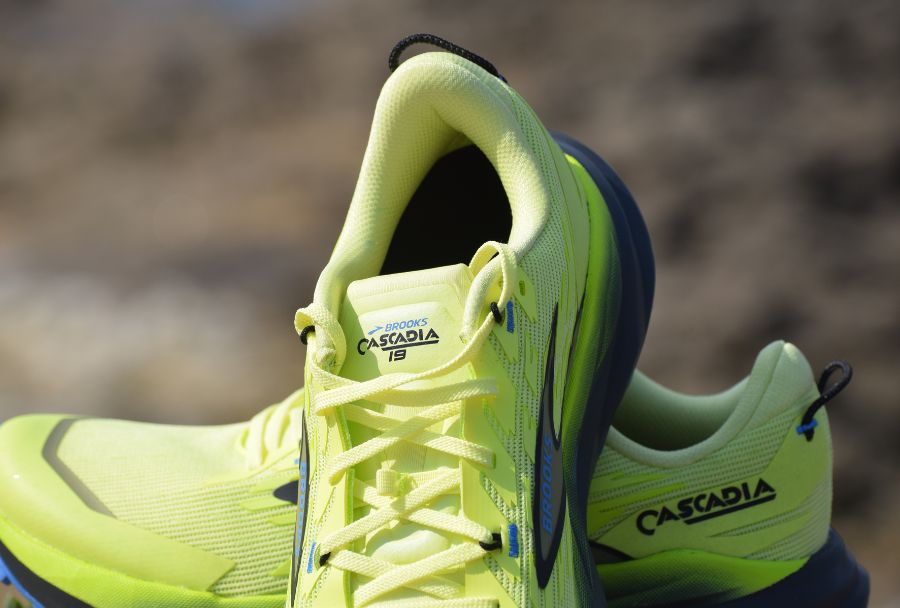 cascadia-19-avis
