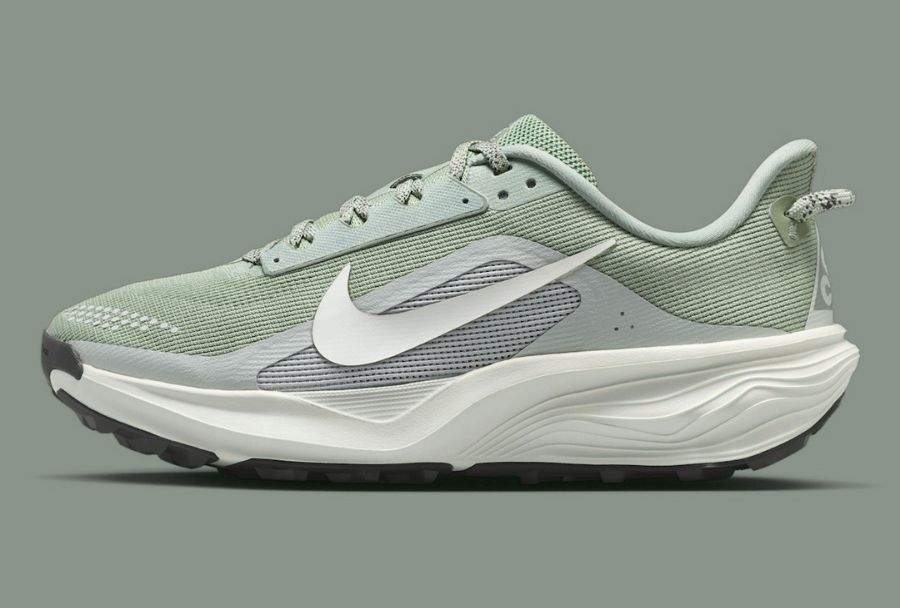 avis-test-nike-pegasus-acg-trail