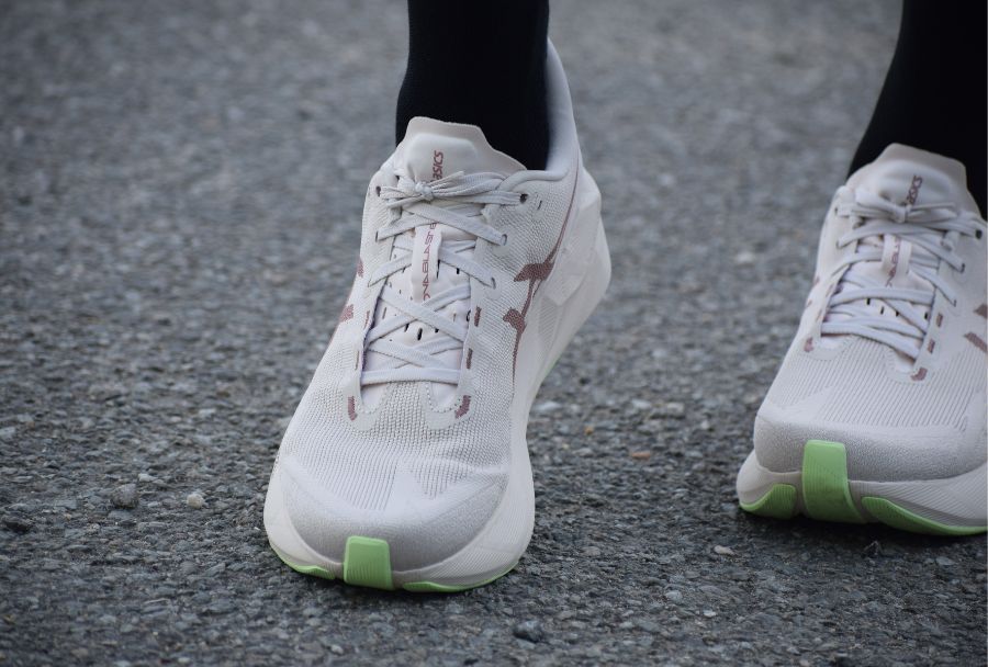 mesh-asics