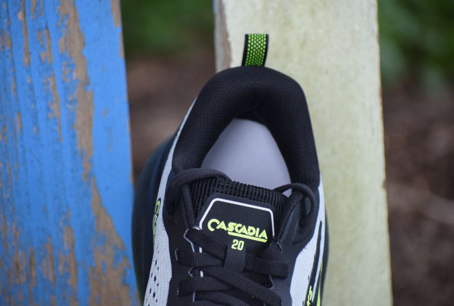 cascadia-20-brooks-avis