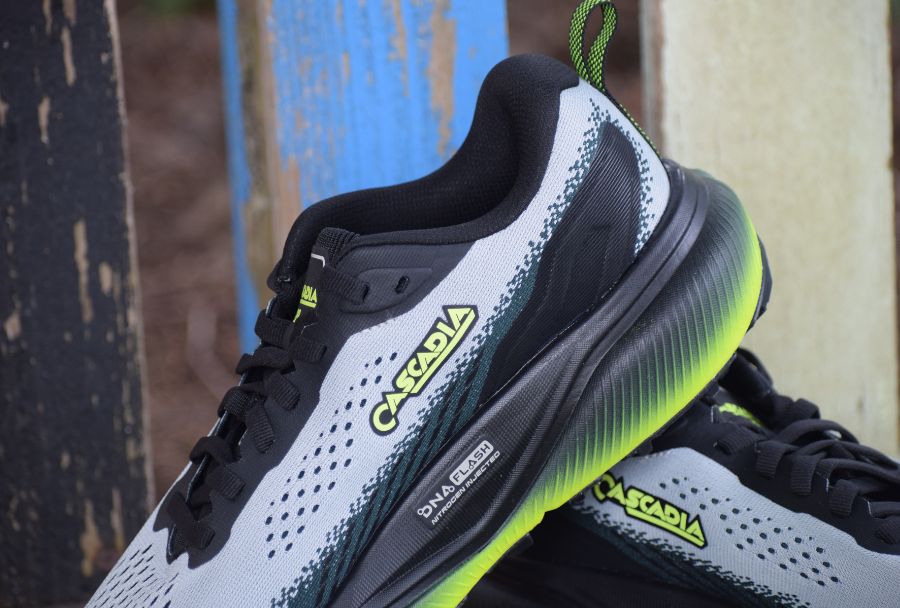 dna-flash-2-brooks
